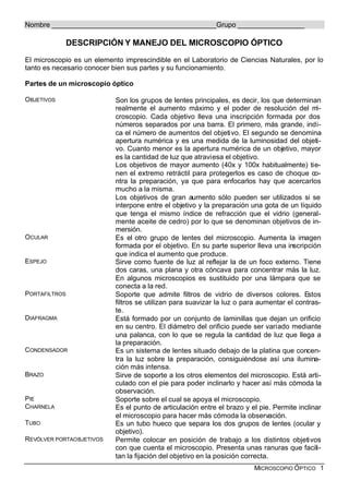 Microscopio Optico Pdf Descarga Gratuita