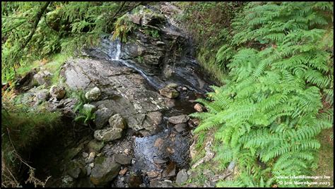 Glen Auldyn Isle Of Man