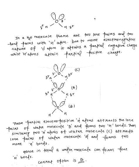 Maximum Number Of Hydrogen Bonds That Can Be Formed By One H O