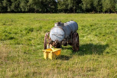 Water Tank For Sheep On A Pasture Stock Image Image Of Herd Sheep