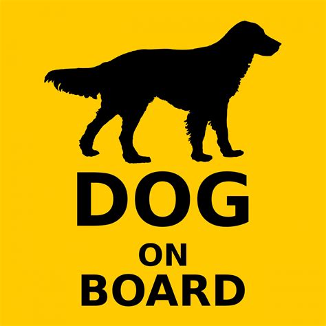 Flat Coated Retriever Free Stock Photo - Public Domain Pictures