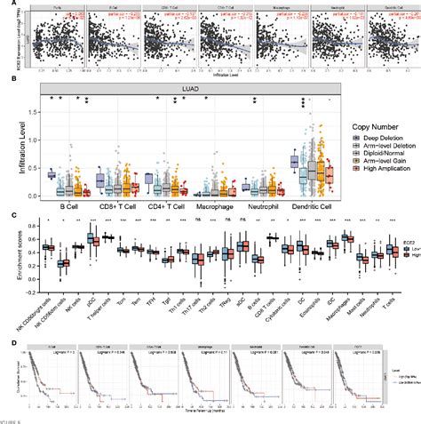 Figure From Ece Is A Prognostic Biomarker Associated With M A