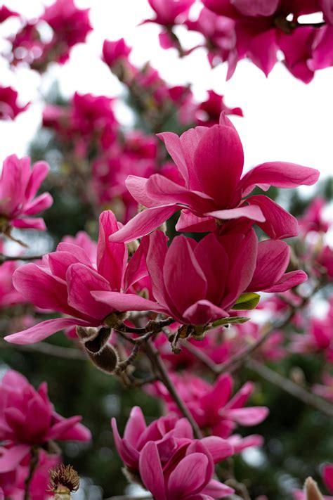 Easyworship Background Photos Download The Best Free Easyworship