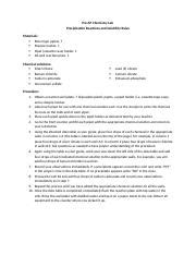 Chapter 7 Precipitation And Solubility Rules Lab Docx Pre AP