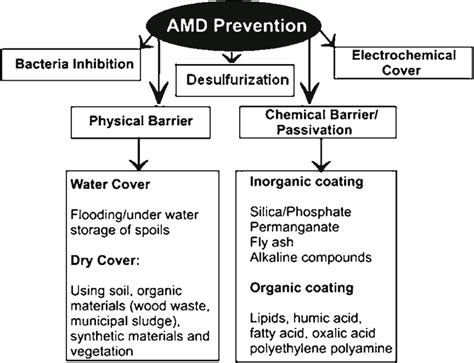 Various Approaches That Have Been Used To Prevent Acid Mine Drainage