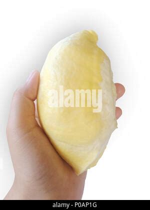 Hand Holding Fresh Ripe Durian One Of The Most Popular Fruits In The