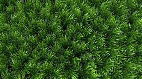 3d Rendered Grass Texture For Background 3d Texture 3d Realistic Realistic Background