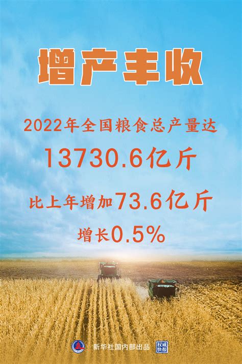 国家统计局12月12日发布数据，2022年全国粮食总产量137306亿斤，比上年增加736亿斤，增长05，粮食产量连续8年稳定在13