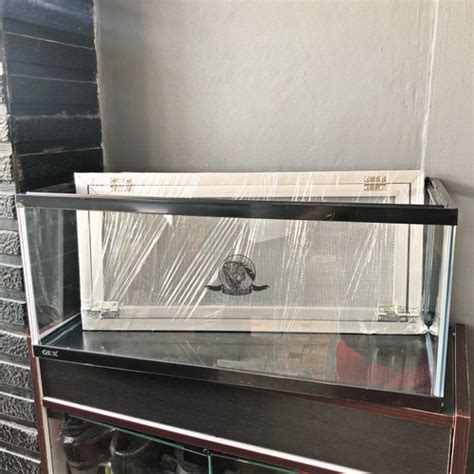 Jual Gex Ll Aquarium Akuarium Ikan Reptile Reptil Kandang Ular Kadal