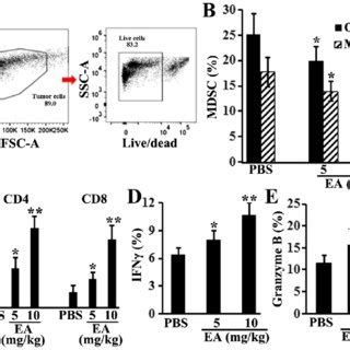 Ea Treatment Inhibits The Ht Tumor Growth In Nude Mice A Tumor