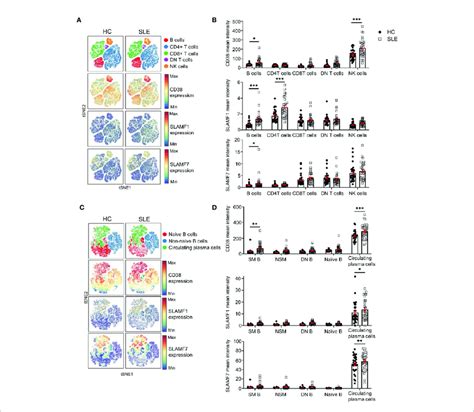 Expression Of CD38 SLAMF1 And SLAMF7 Characterizes SLE Circulating