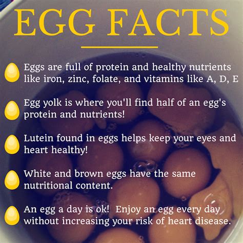 10 Key Health Benefits Of Eggs In Your Diet Health Benefits Of Eggs Egg