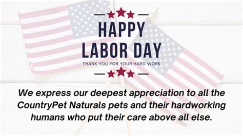 Labor Day for Dogs: Celebrating Our Four-Legged Heroes | CountryPet ...