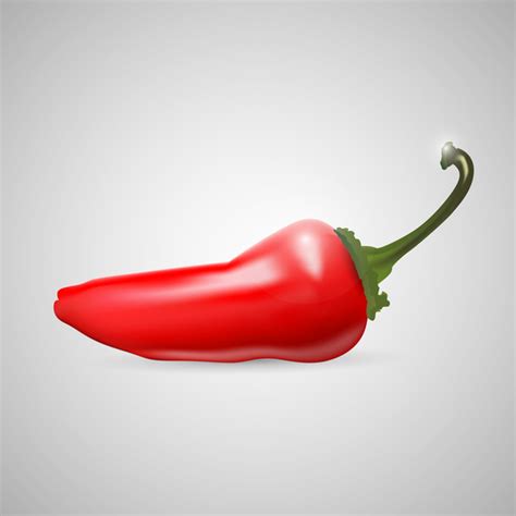 Red Hot Chilli Pepper Vector Illustration Free Stock Vector Graphic Image