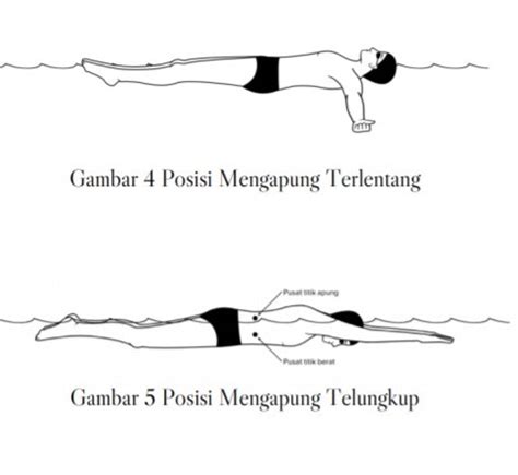 Sebutkan Teknik Dasar Dalam Renang Gaya Bebas Kimura Fashe