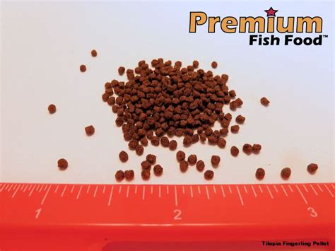 Fish Food Tilapia Fish Food Tilapia Fingerling Pellet 50 Lbs