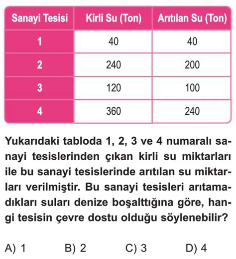 Nsan Ve Evre Li Kisi Test Z S N F Fen Bilimleri Testleri