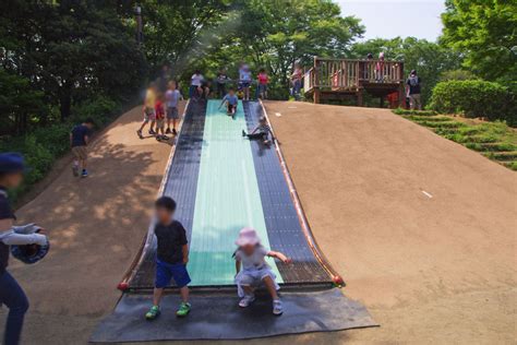 不規則な 一貫性のない 抽出 昭和 記念 公園 滑り台 地質学 耐える いくつかの