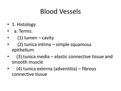 Anatomy Histology Of The Circulatory System Ppt Download