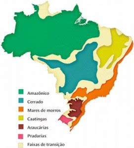 Dom Nios Morfoclim Ticos Do Brasil Caracter Sticas Tabela E Mapa