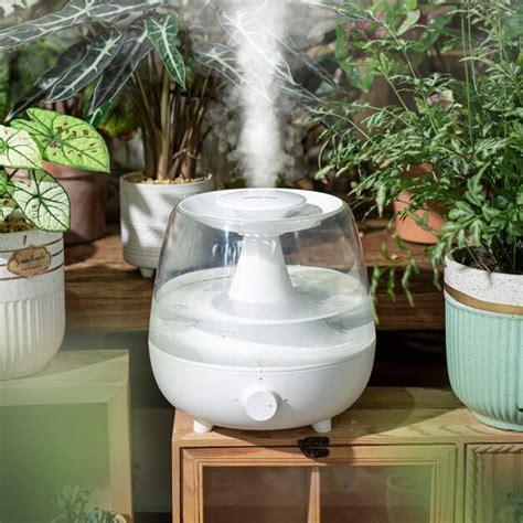 Plant Humidifiers The Best Ones For Your Indoor Plants South