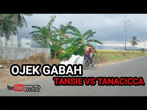 Motor Taksi Gabah Tansi Vs Tanacicca Youtube