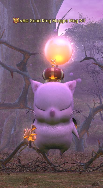 Good King Moggle Mog Xii Gamer Escape S Final Fantasy Xiv Ffxiv