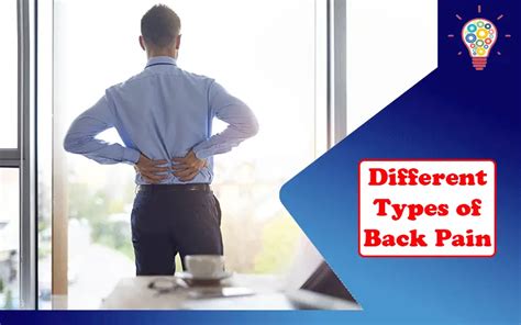 The Different Types Of Back Pain A Simple Guide Updated Ideas