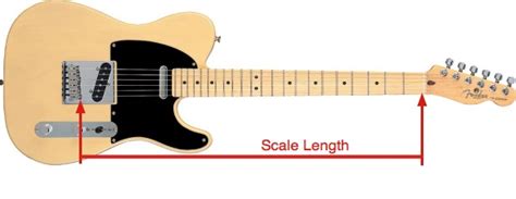 Guitar Hardware Basics - Scale Length and String Compensation | Guitarless