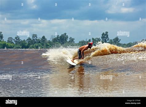 Man River Surfing A Tidal Bore Wave On The Kampar River Known Locally