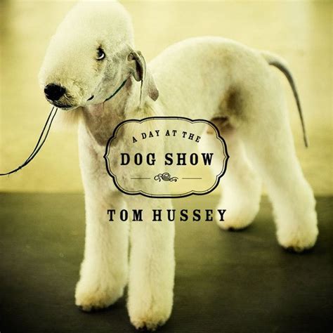 Funny Classic Dog Show Read The Continuing Text From The Other Images