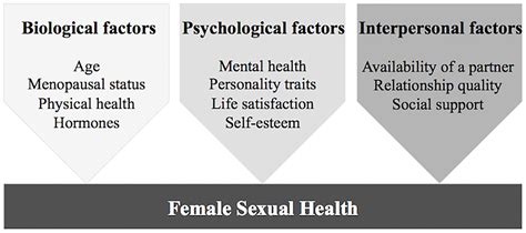 Frontiers Psychobiological Factors Of Sexual Functioning In Aging Women Findings From The