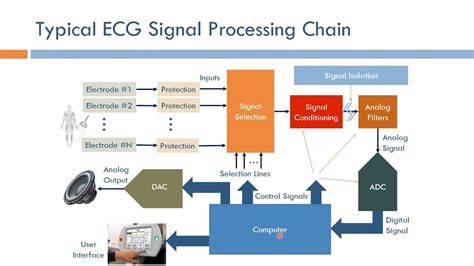 Short Topics In ECG Signal Processing Chain Arabic Narration YouTube