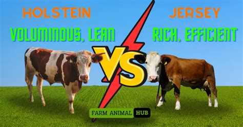 Holstein Vs Jersey Milk Yield Or Butterfat Content Advenal