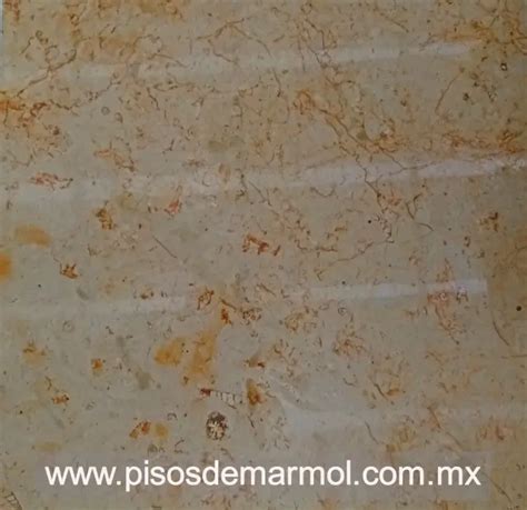 Parquet de Mármol Crema Del Desierto Mármol Blanco Royal Laminas de