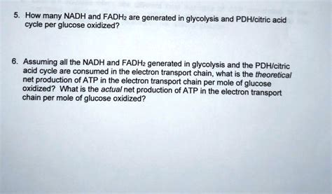 Solved How Many Nadh And Fadh2 Are Generated In Glycolysis And Pdhcitric Acid Cycle Per