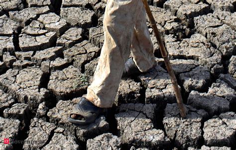 Maha Spent Rs 490950 Crore On Drought Relief In 2018 19 Economic