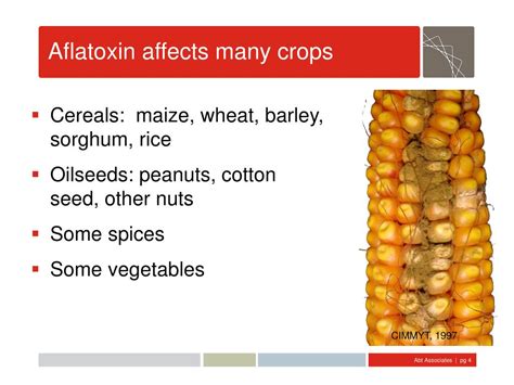 Ppt Overview Of The Aflatoxin Challenge I E Aflatoxin 101 Abt