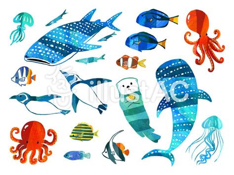 海の生き物セット 海の生き物 イラスト 動物 絵 イラスト