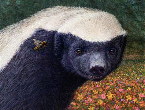 Honeybee Tells Honey Badger Painting By James W Johnson Pixels