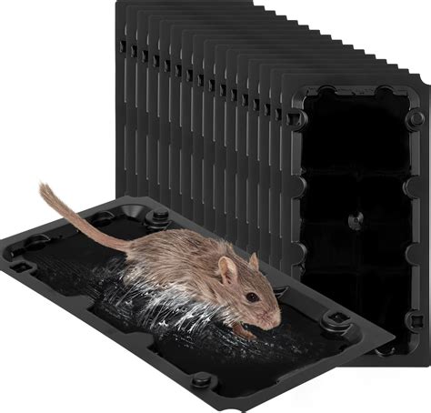 12 Pack Extra Large Glue Traps For Mice And Rats Heavy Duty Rat Glue Traps Super