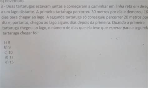 a novembro 3 Duas tartarugas estavam juntas e começaram a caminhar em