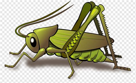 Animated Crickets