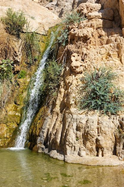 Premium Photo Ein Gedi Nature Reserve Off The Coast Of The Dead Sea