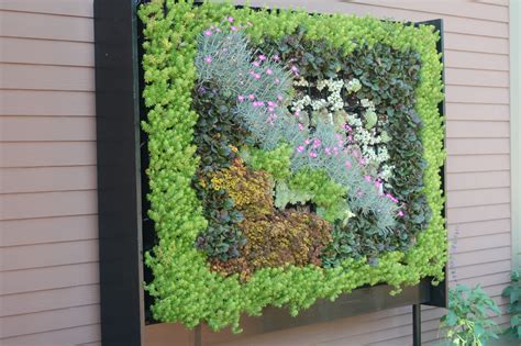 Sedums Are Ideal For A Vertical Garden For More Information About