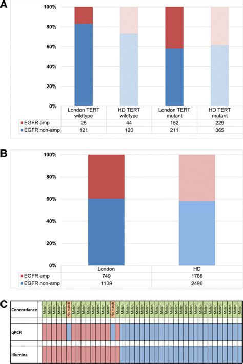 Egfr Amplification In Idh Wildtype Glioblastoma A Comparison Of Our