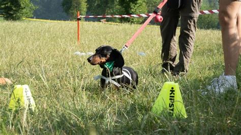 Parco Di Monza L Giugno Ritorna La Strabassotti Il Cittadino Di