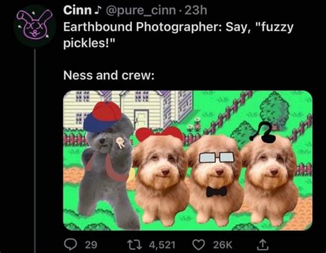 Cinn Purecinn Earthbound Photographer Say Fuzzy Pickles Ness