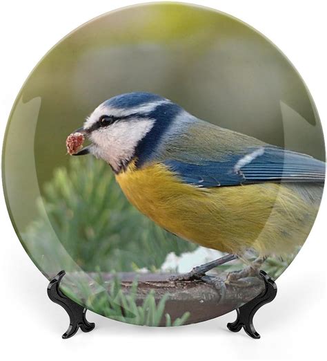 Blue Tit Bird On Plate For Home Office Wall Decor