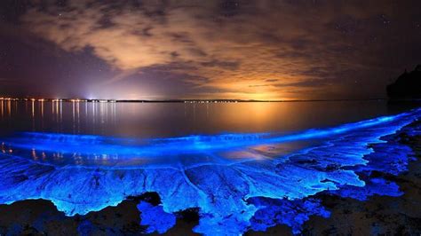 Bioluminescent Algae Photo By Joanne Paquette Natural Phenomena